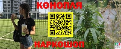 шишки Тула