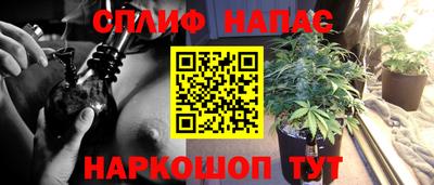 бошки Туймазы