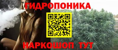 прущие грибы Тулун