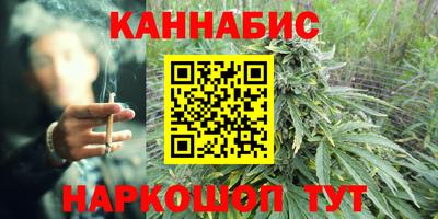 прущие грибы Тулун