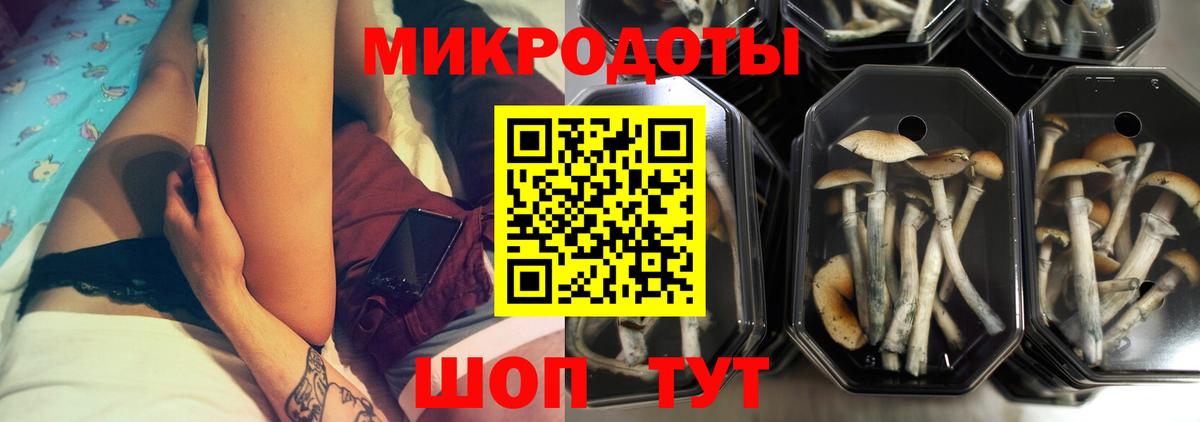 Псилоцибиновые грибы GOLDEN TEACHER Можайск