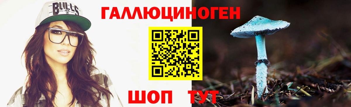 Можайск  Псилоцибиновые грибы прущие грибы  Вход с VPN  Псилоцибиновые грибы мицелий 
